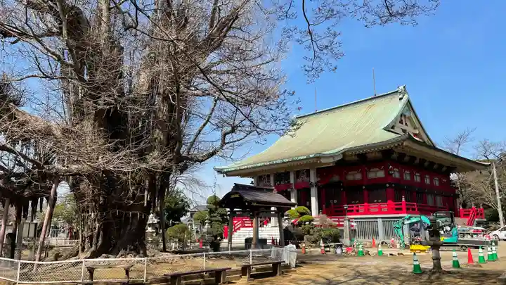 千葉寺(千葉県)