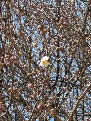 石内のお大師さん　金剛院(広島県)