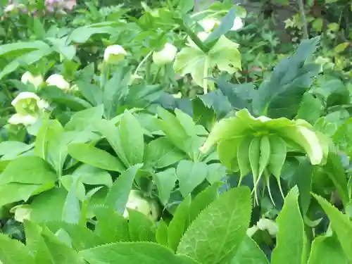 錦秋稲荷大明神の庭園