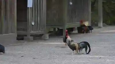 石上神宮(奈良県)