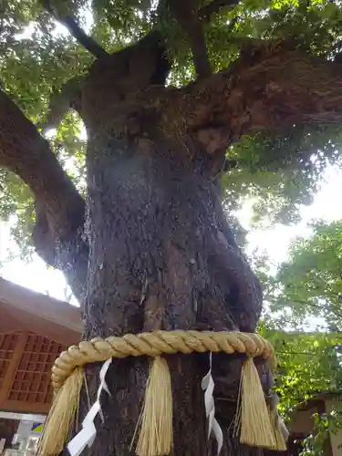座間神社の自然