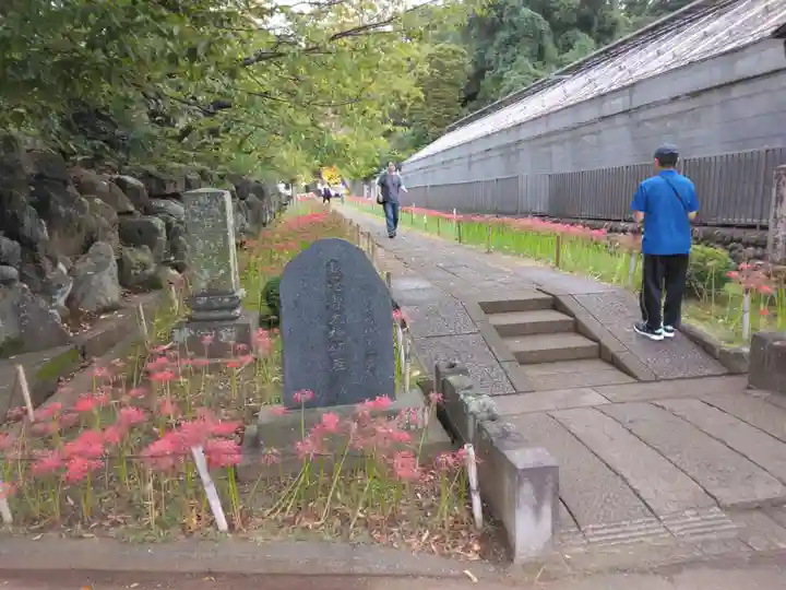 横浜 西方寺(神奈川県)