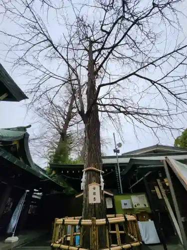大宮八幡宮(東京都)