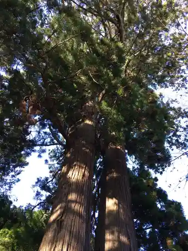 羽梨山神社の自然