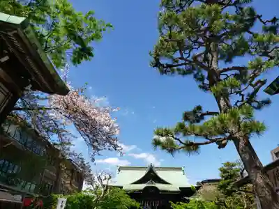 桜神宮(東京都)