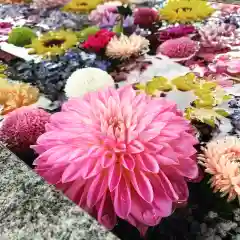 豊景神社の手水