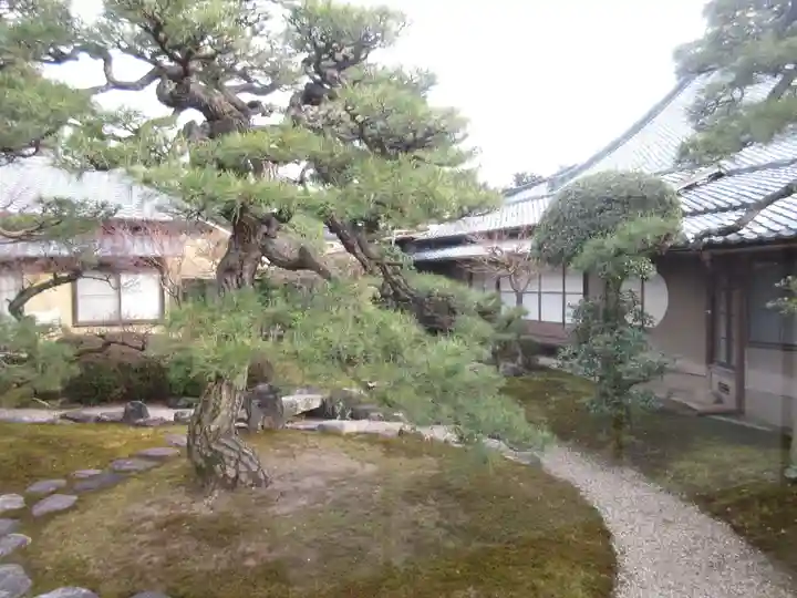 妙顯寺(妙顕寺)(京都府)