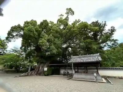粉河寺(和歌山県)