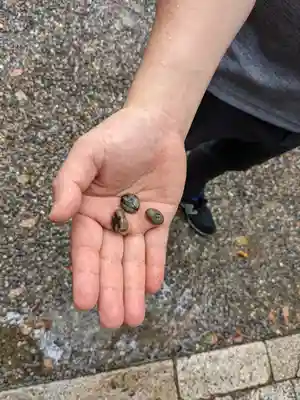 住吉大社のその他建物