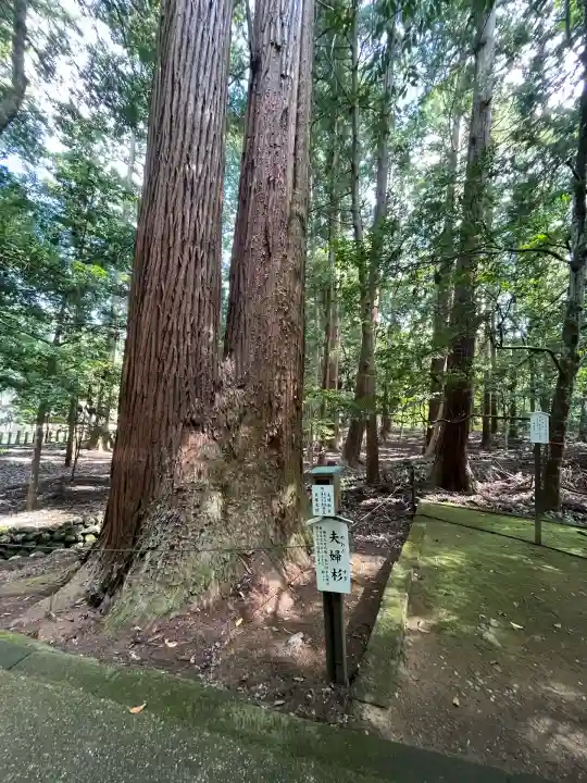 若狭彦神社(上社)(福井県)