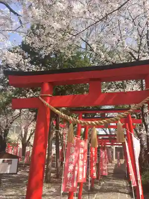 於菊稲荷神社の鳥居