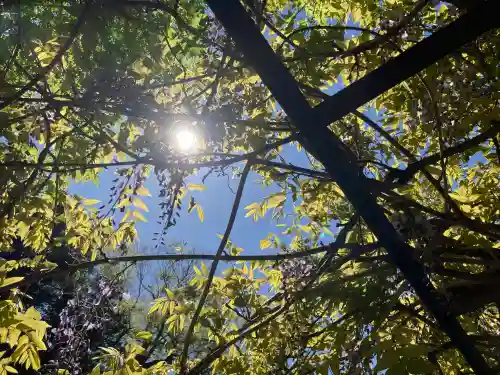新海三社神社(長野県)