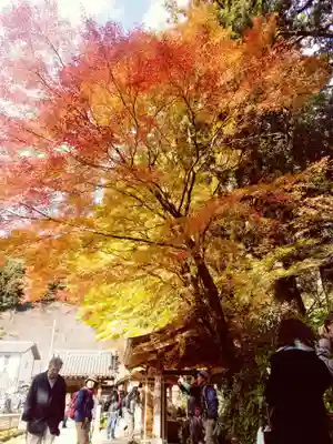 千如寺大悲王院の自然