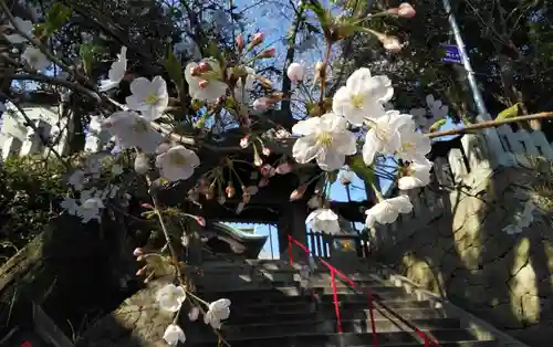 鷲尾愛宕神社の自然