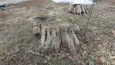 金刀比羅神社の自然