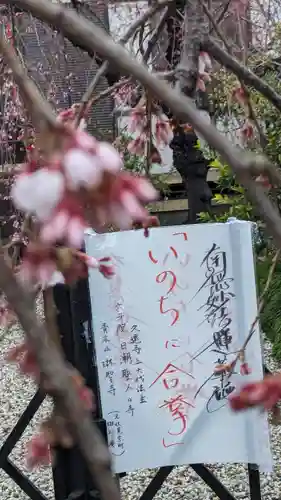 琳聖寺(京都府)