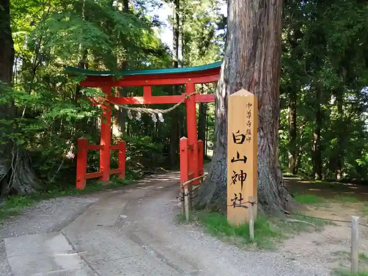 白山神社の鳥居