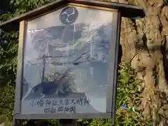 小幡神社の建物その他