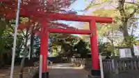 本太氷川神社の鳥居