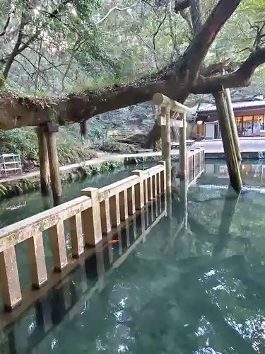 鹿島神宮(茨城県)