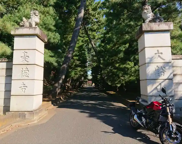 豪徳寺の山門・神門