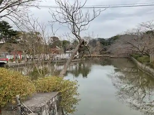 鶴岡八幡宮の庭園