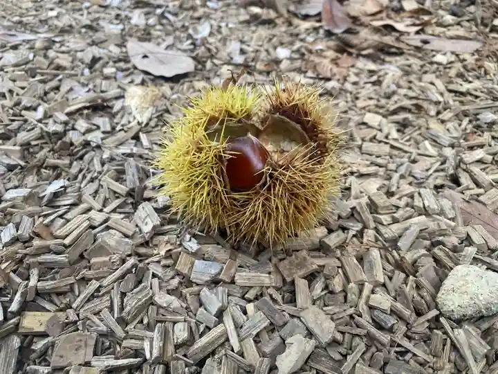 気多神社(富山県)