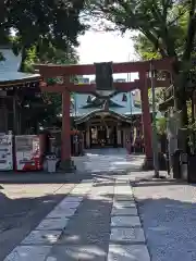 須賀神社の鳥居