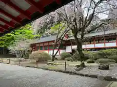 霧島神宮(鹿児島県)