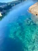 三嶋神社・水天宮の自然