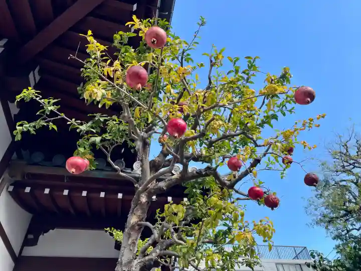 正山寺(東京都)