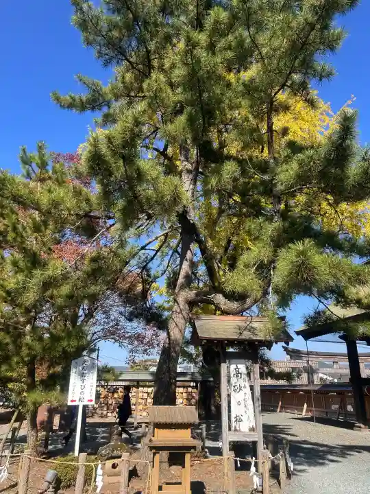 阿蘇神社の{uncategorized: "未分類", other: "その他", undefined: "問題あり", building: "その他建物", grave: "お墓", sacred_gate: "鳥居", guardian: "狛犬", statue: "像", buddha: "仏像", history: "歴史", nature: "自然", garden: "庭園", animal: "動物", pagoda: "塔", temizu: "手水舎", mountain_gate: "山門・神門", sanctuary: "本殿・本堂", subordinate: "末社・摂社", art: "芸術", scenery: "景色", jizo: "地蔵", ema: "絵馬", goshuin: "御朱印", omikuji: "おみくじ", items: "授与品その他", amulet: "お守り", goshuincho: "御朱印帳", eats: "食事", festival: "お祭り", votive_dance: "神楽", shichigosan: "七五三参", wedding: "結婚式", experience: "体験その他", initially: "初詣", around: "周辺", anti_infection: "感染症対策"}