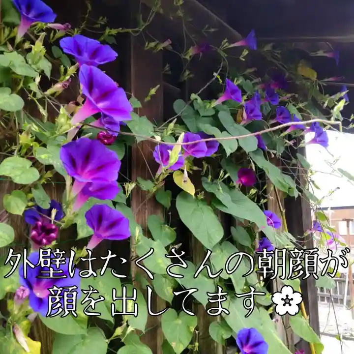 七重浜海津見神社の自然