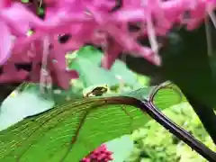 国宝　長寿寺の動物