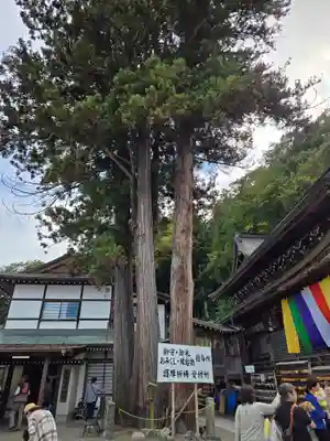 北向観音(長野県)