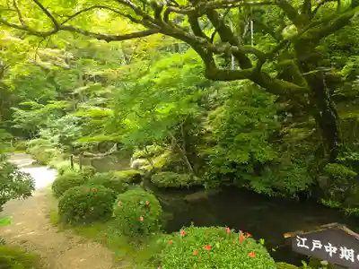 明寿院(滋賀県)