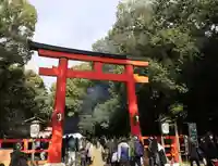 賀茂御祖神社(下鴨神社)の鳥居