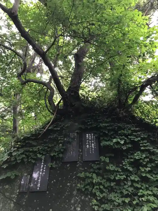 有珠善光寺(北海道)