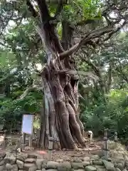 大瀬神社(静岡県)