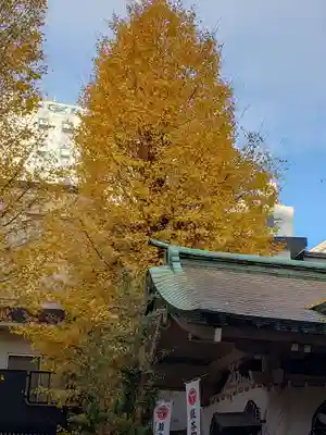 銀杏岡八幡神社の本殿・本堂