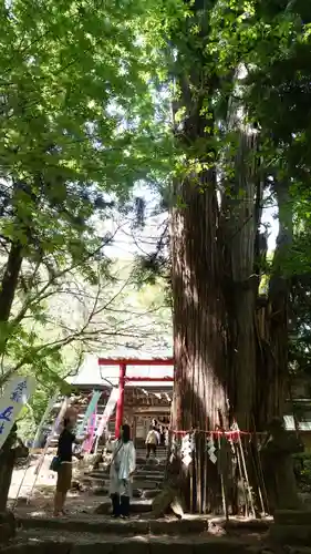 磐椅神社(福島県)
