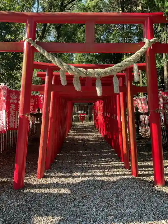 古井神社(岐阜県)