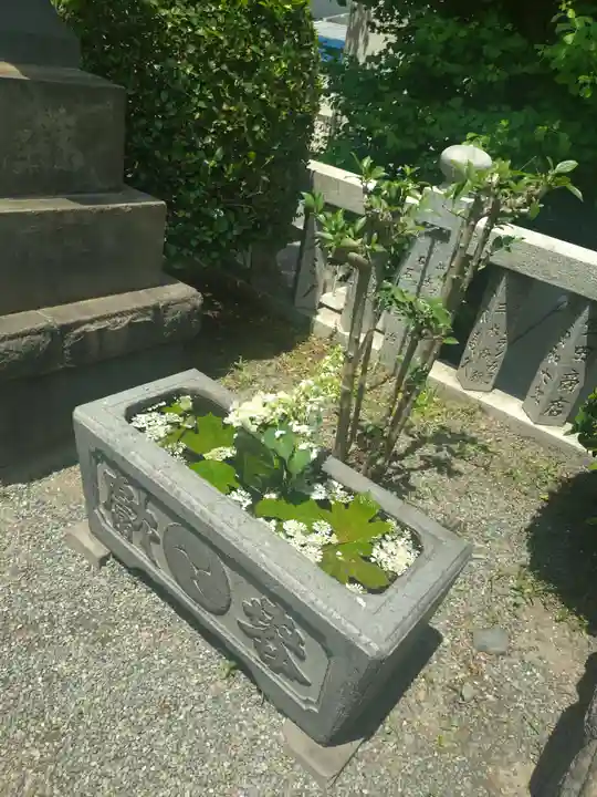 元町厳島神社(神奈川県)