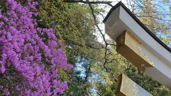 宝登山神社のその他建物