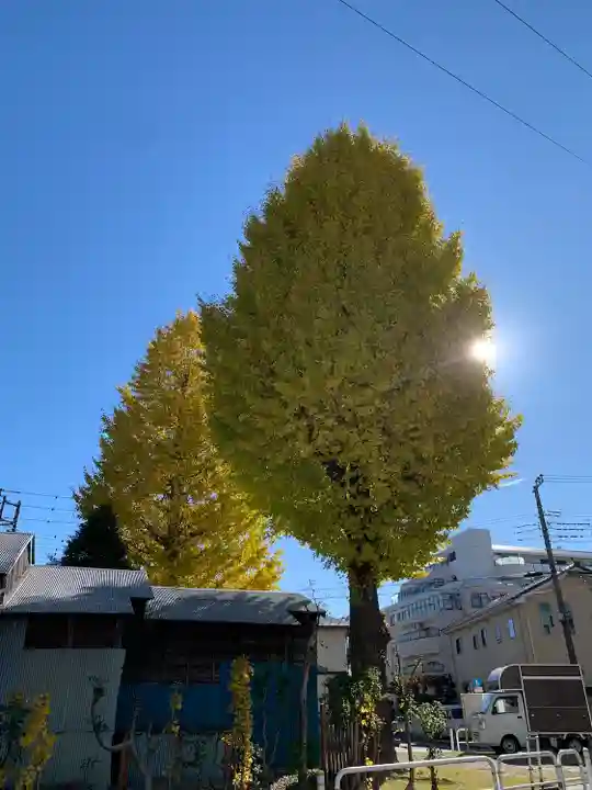 漆坊弁財天(東京都)