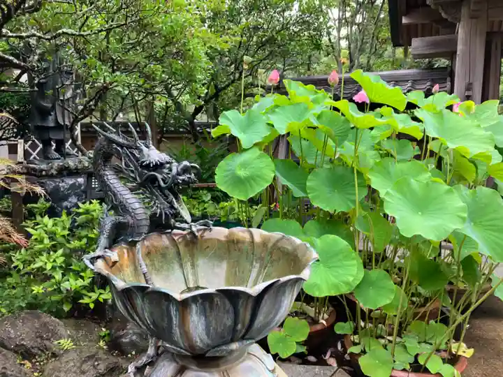 成就院の手水舎