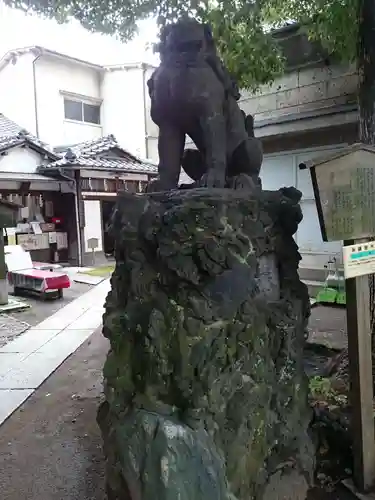 三島神社の狛犬