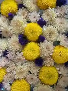 彌彦神社 (伊夜日子神社)の手水舎(2023年09月12日(火) 10時49分55秒投稿)