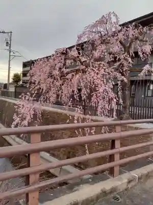 大安寺(宮城県)