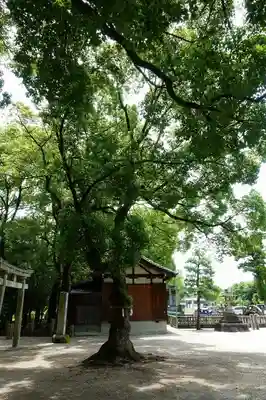 知立神社のその他建物
